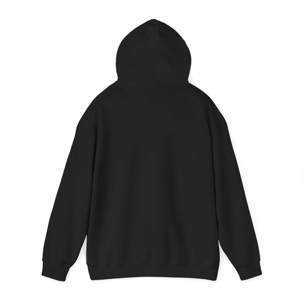 New Country Same Hunger Hoodie — Immigrant Story Pullover